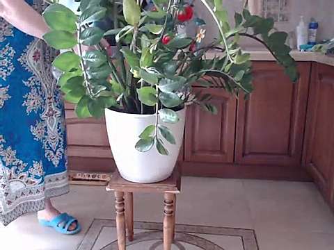 Mona_Lisa_ naked stripping on cam for live sex video chat