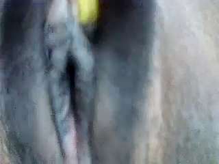 Eva_xx naked stripping on cam for live sex video chat