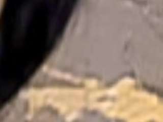 MEGHAN CAMPBELL nude in hot Live Sex Chat