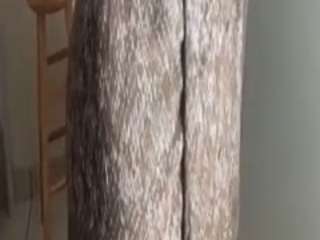 MalikaStar27 nude in hot Live Sex Chat